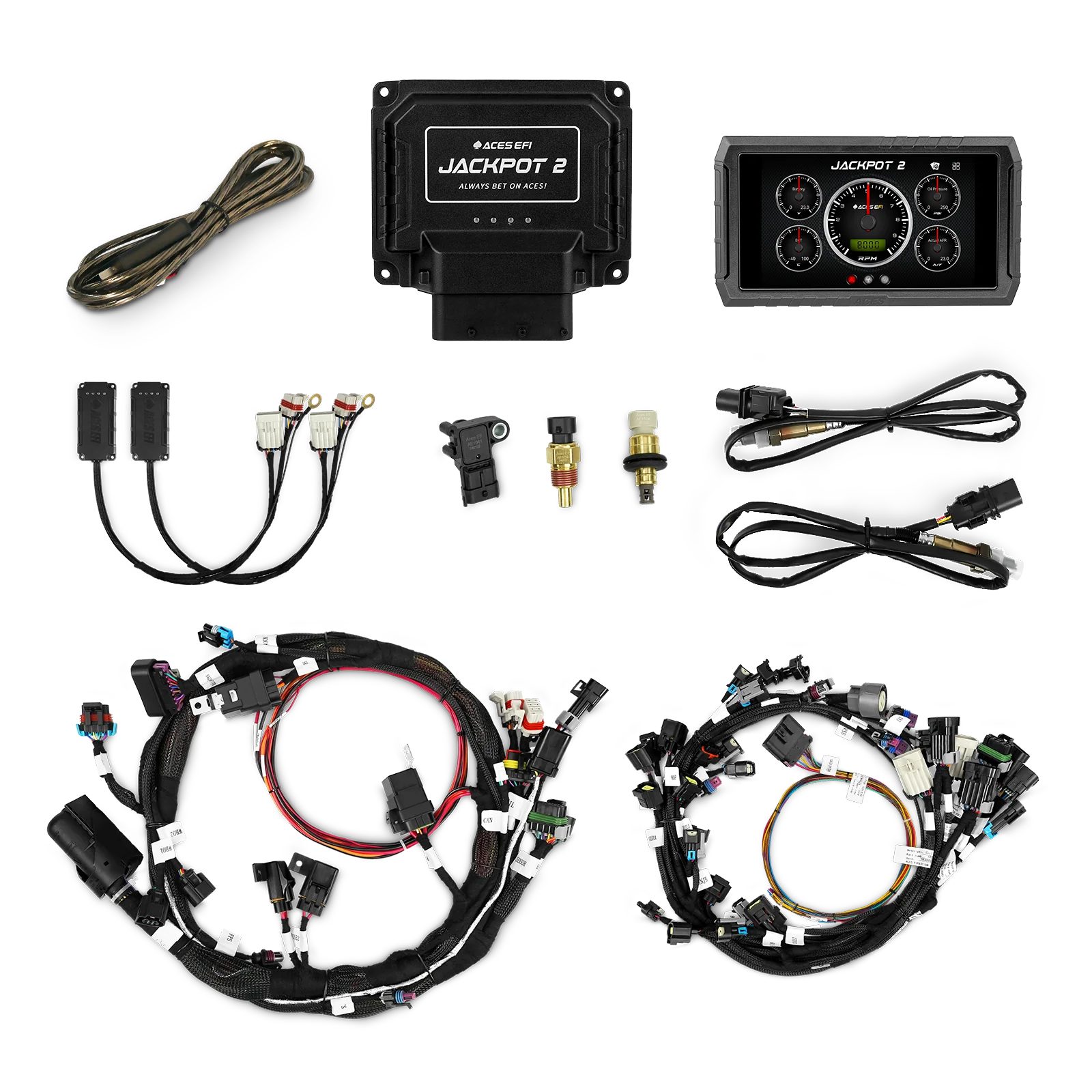 Jackpot 2 HEMI EFI System - Image 7
