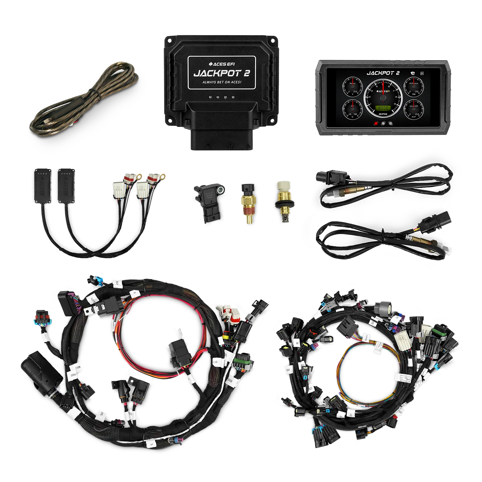 Jackpot 2 HEMI EFI System - Image 8