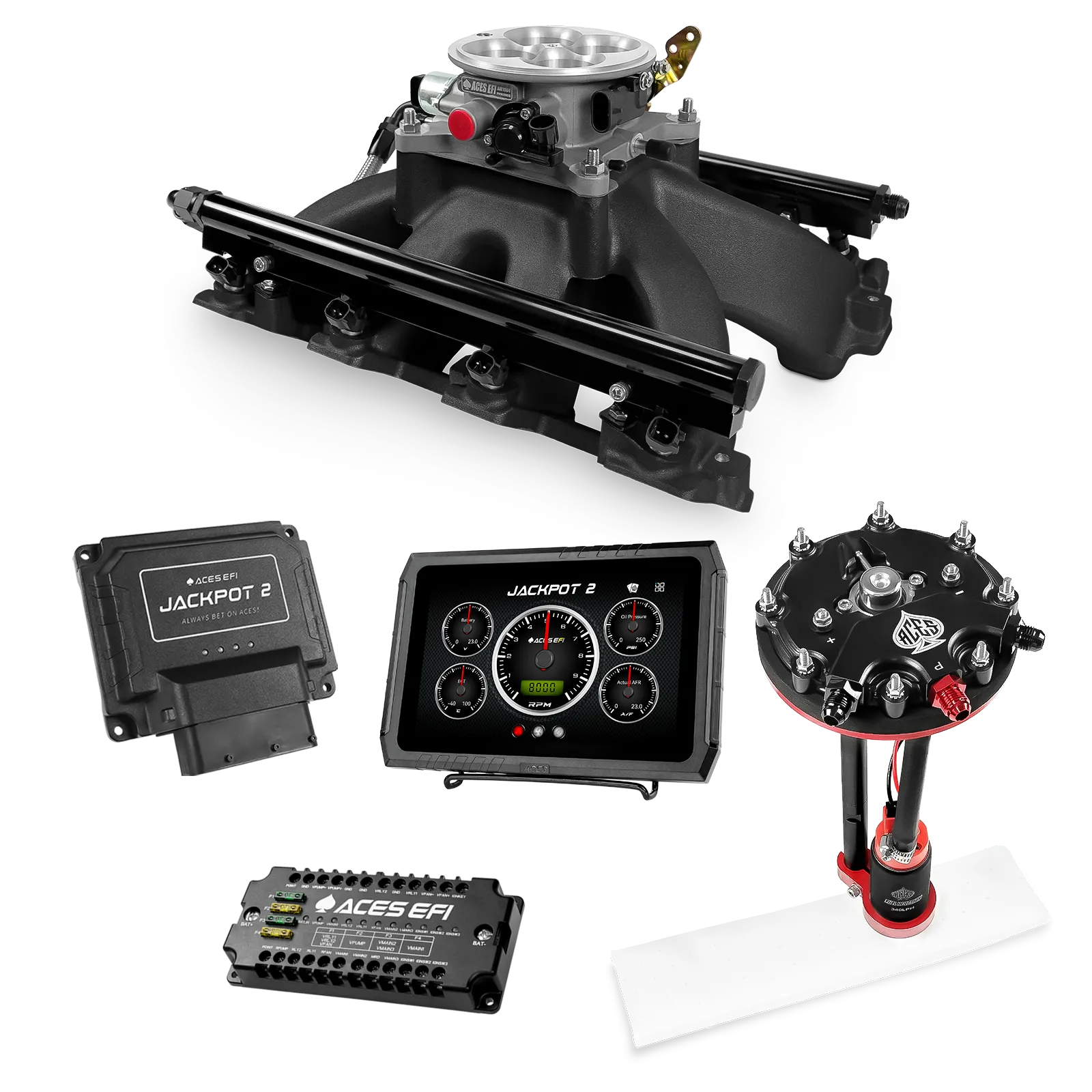 Jackpot 2 LS EFI System - Master Kit with Tank Conversion Pump Module with Internal Regulator - Image 9