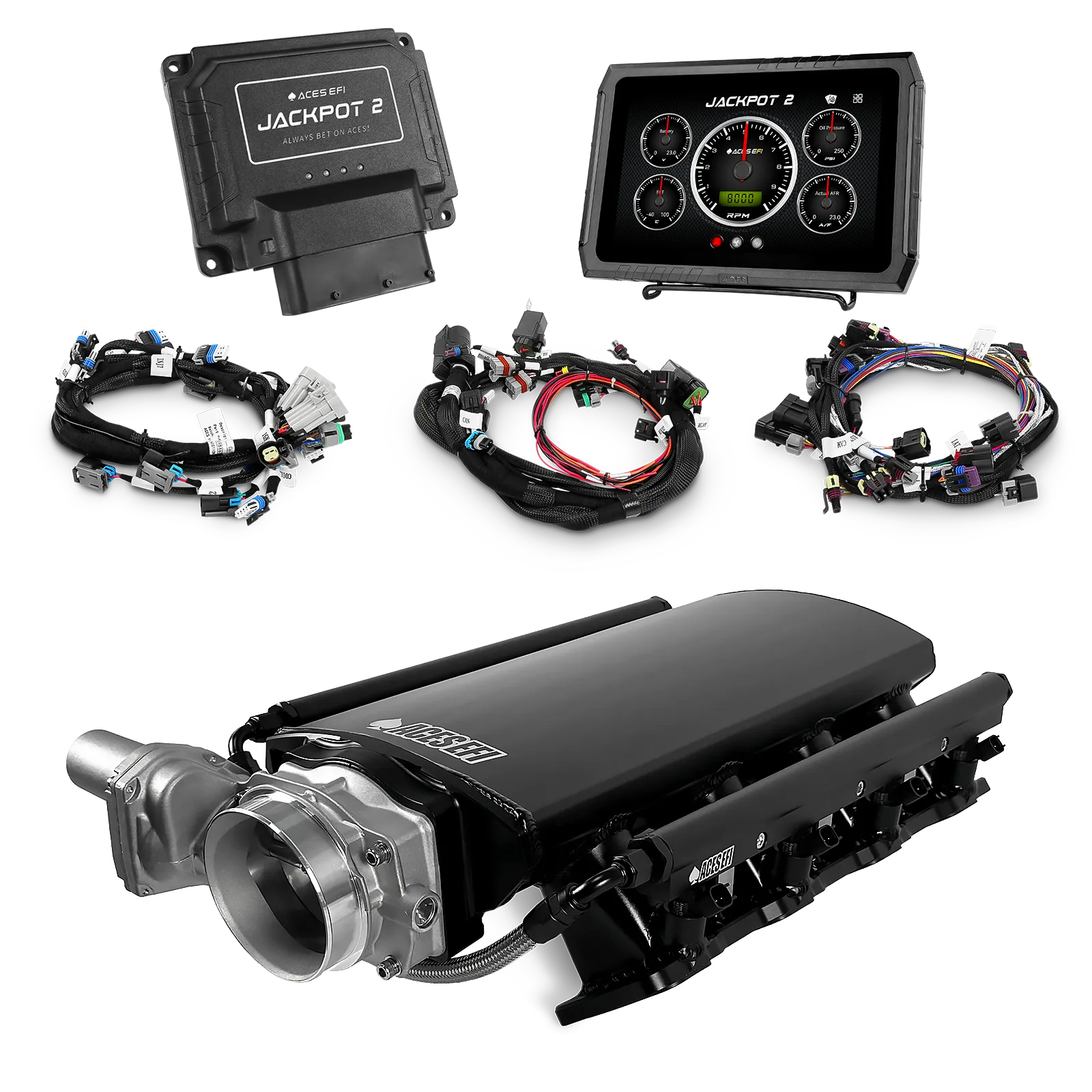 Jackpot 2 LS EFI System - Top End Kit (800 HP) - Image 11