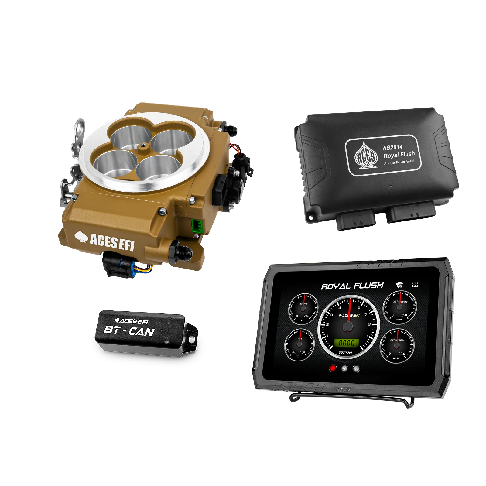 Royal Flush EFI/CDI - Image 10