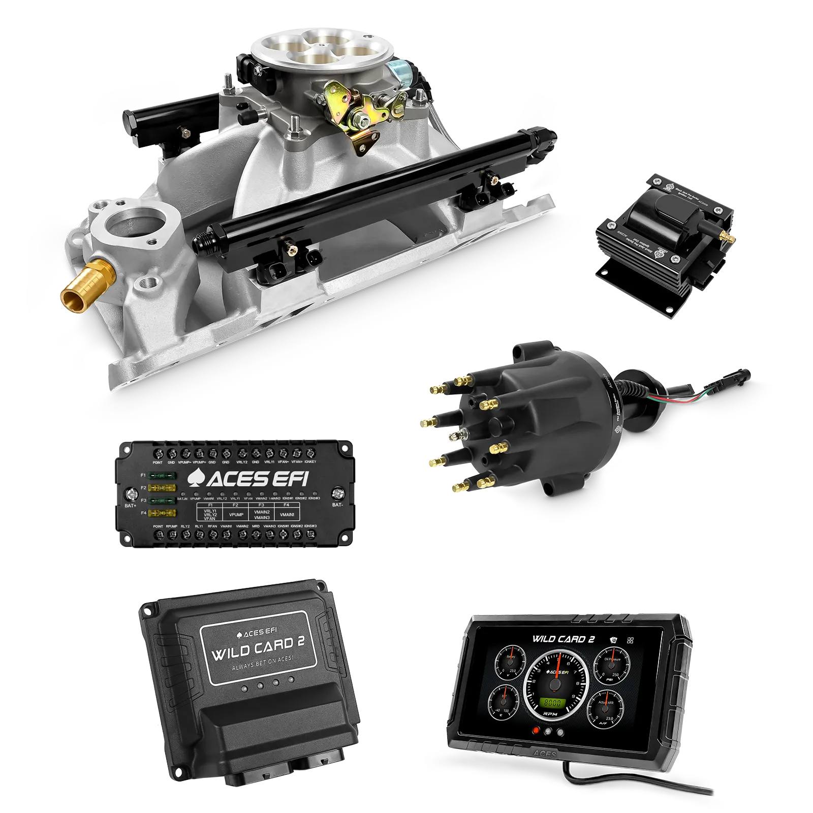 Wild Card 2 EFI - Top End Kits - Image 11