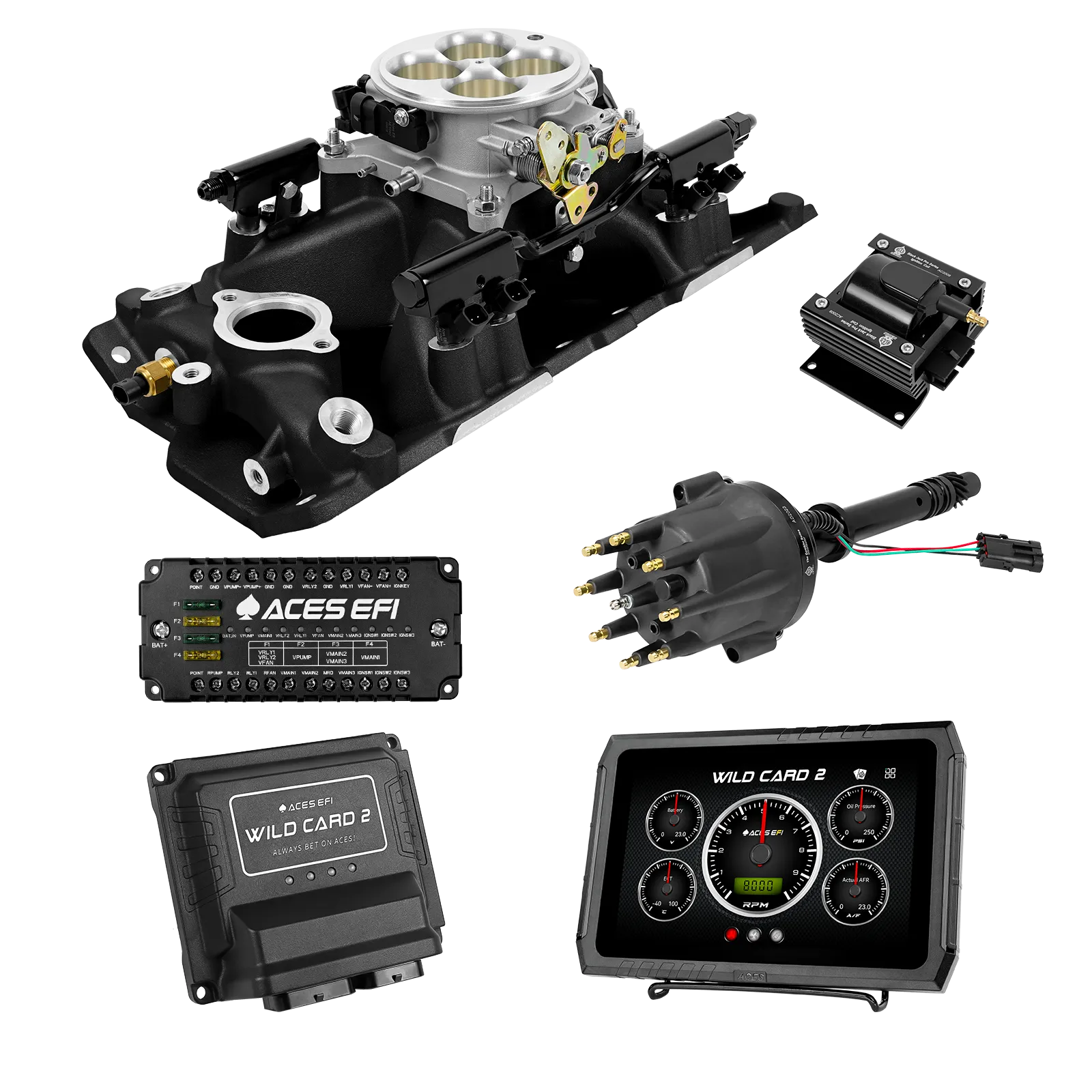 Wild Card 2 EFI - Top End Kits - Image 28