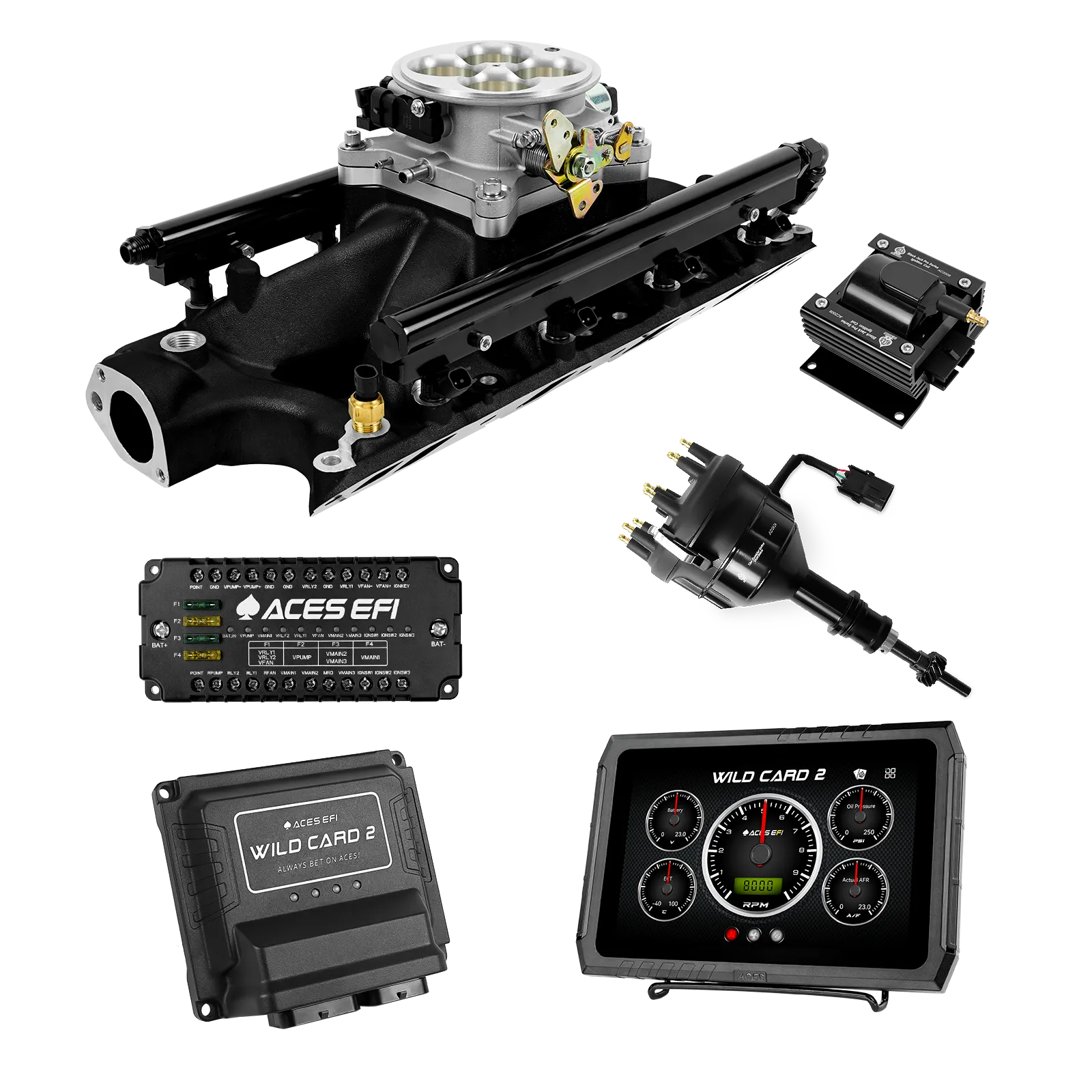 Wild Card 2 EFI - Top End Kits - Image 33