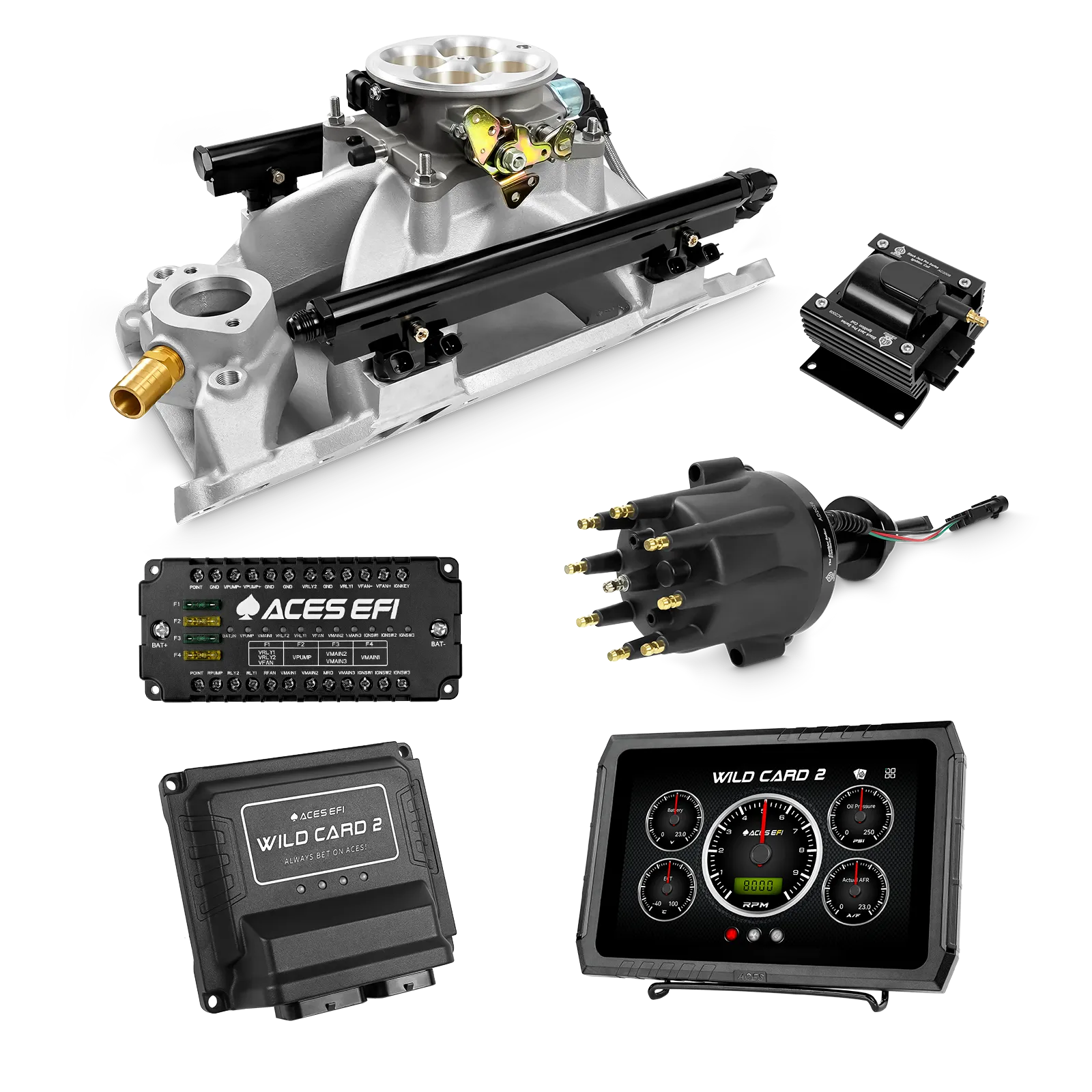 Wild Card 2 EFI - Top End Kits - Image 37
