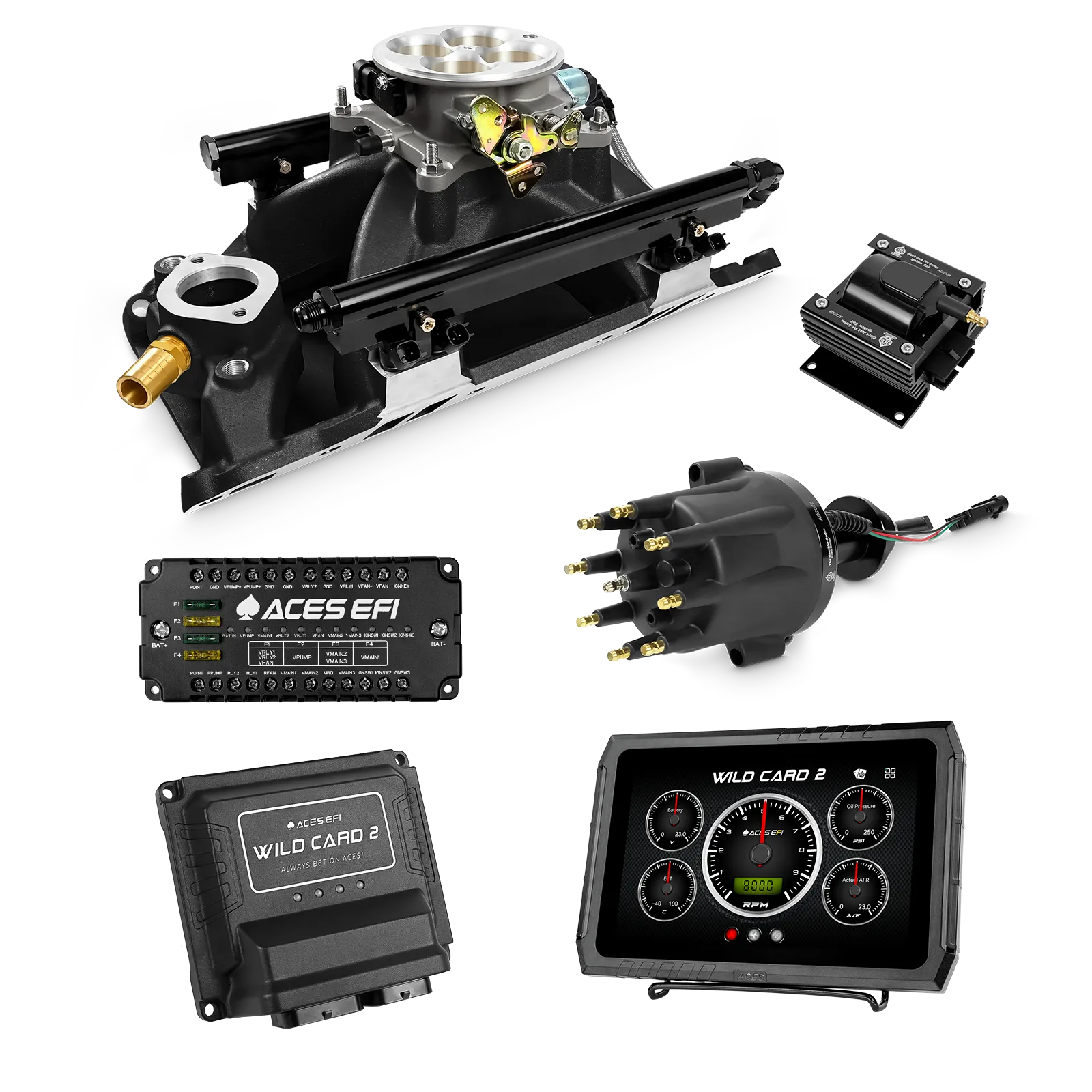 Wild Card 2 EFI - Top End Kits - Image 38