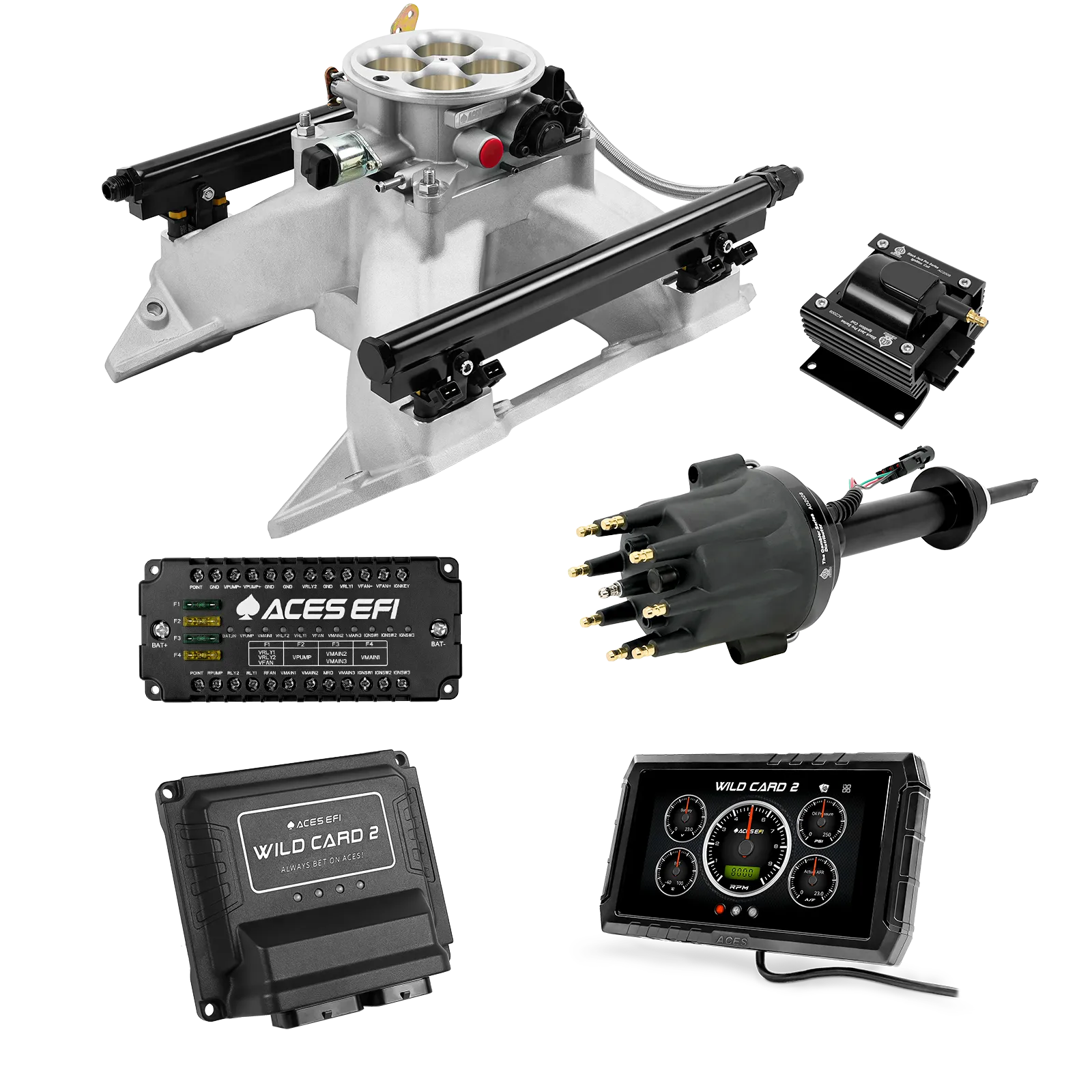Wild Card 2 EFI - Top End Kits - Image 39