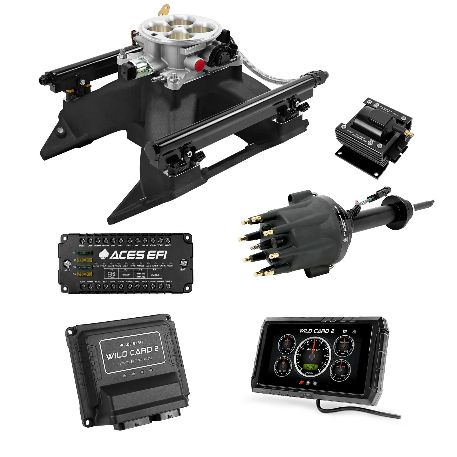 Wild Card 2 EFI - Top End Kits - Image 41