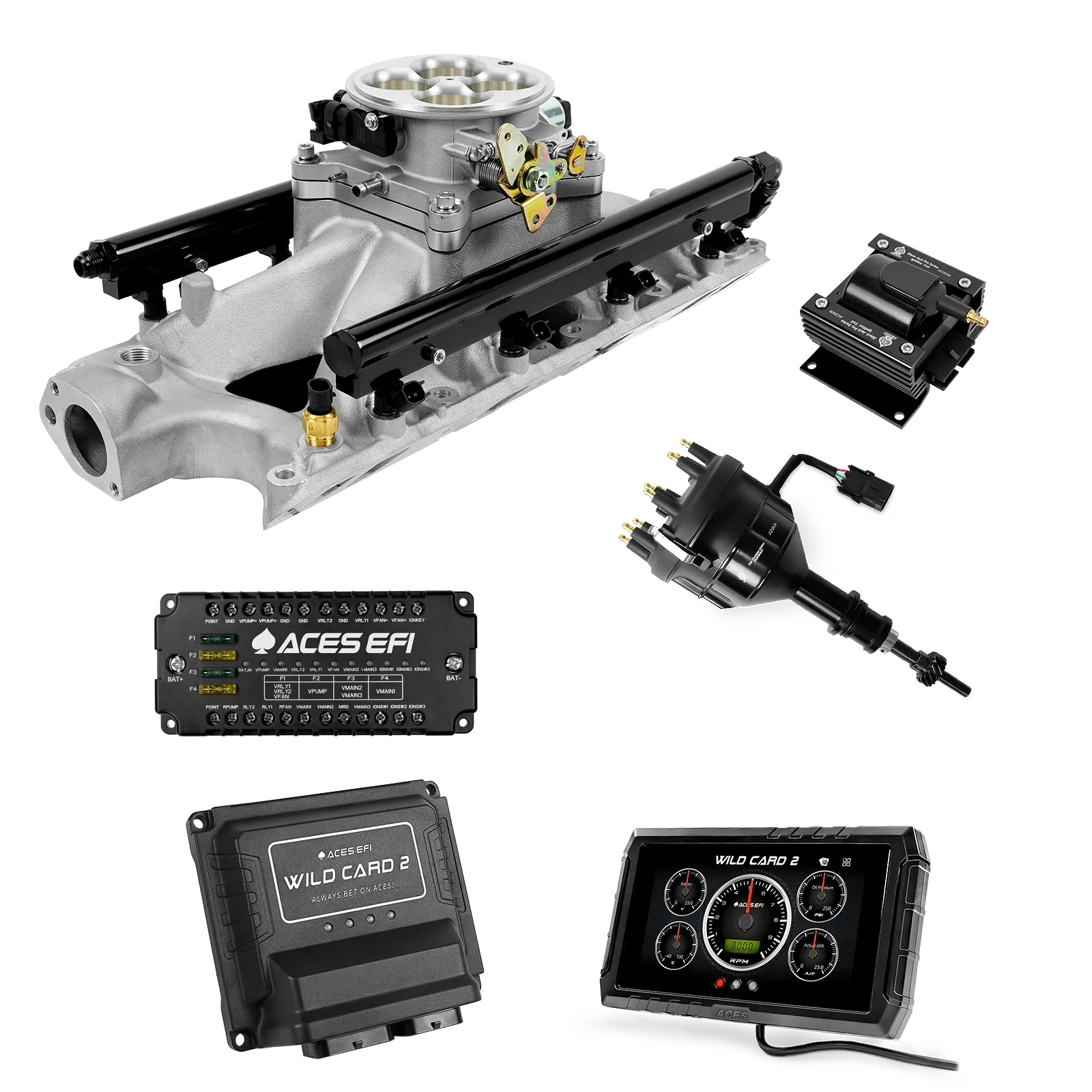 Wild Card 2 EFI - Top End Kits - Image 6