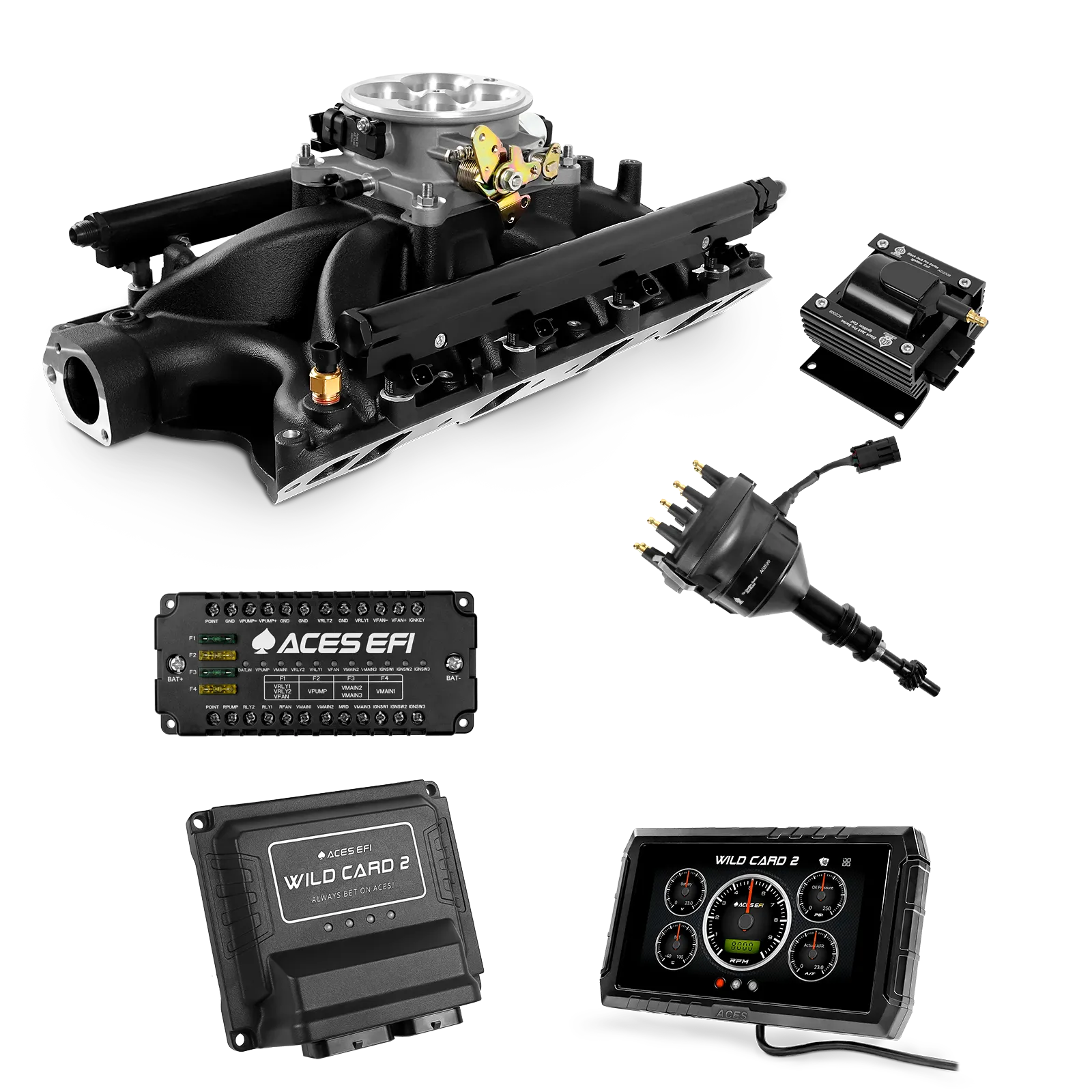Wild Card 2 EFI - Top End Kits - Image 9