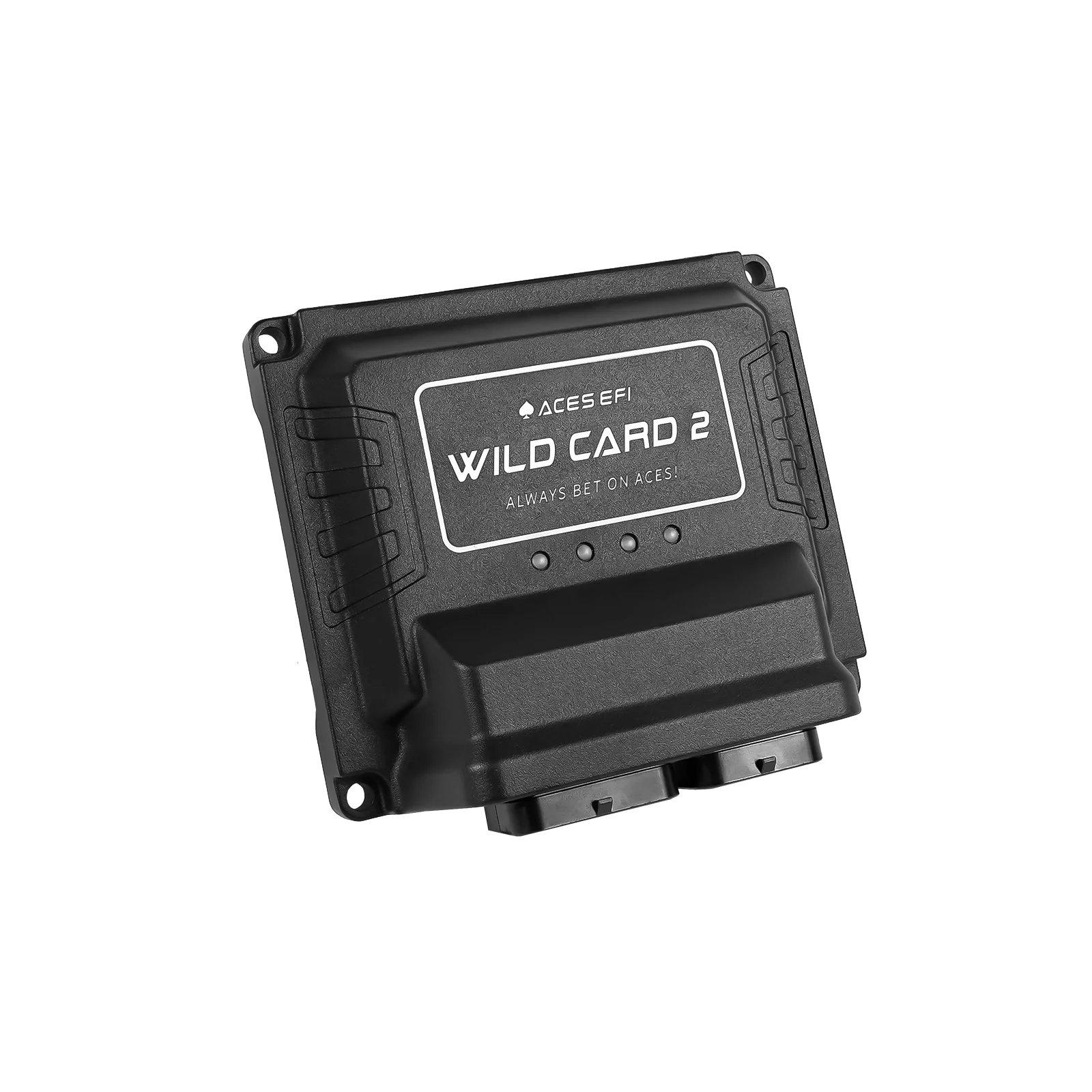 Wild Card 2 EFI - Top End Kits - Image 14
