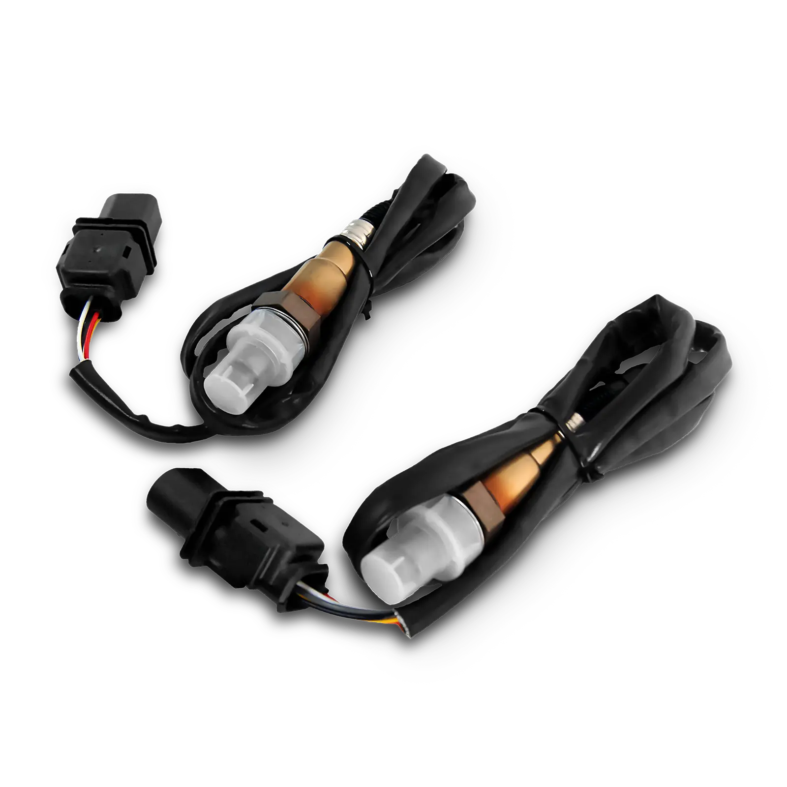 Wild Card 2 EFI (Standalone) - Image 6